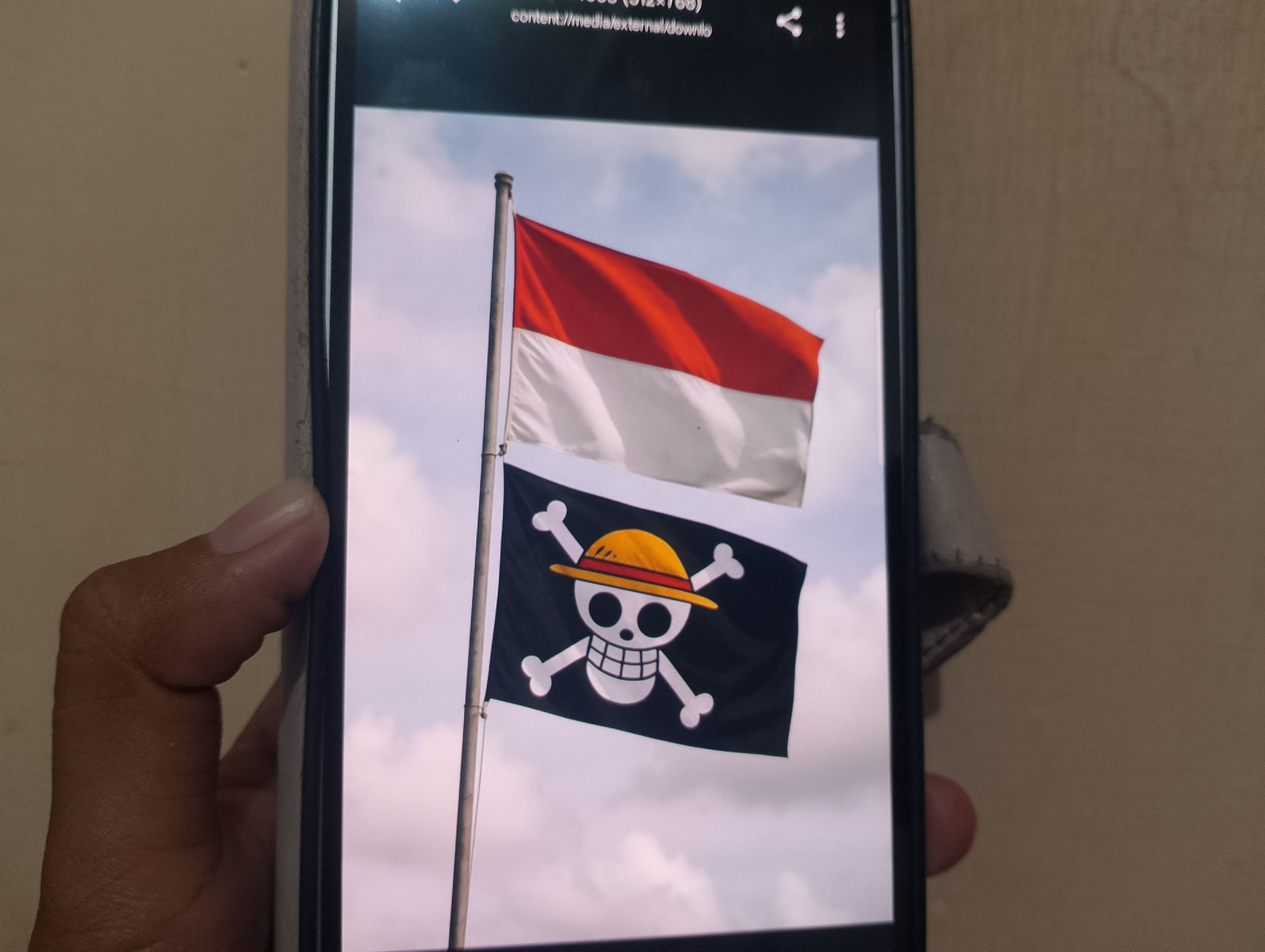 Pengibaran Bendera One Piece Jelang 17 Agustus Dinilai Kritik Sosial, Bukan Ancaman Kedaulatan