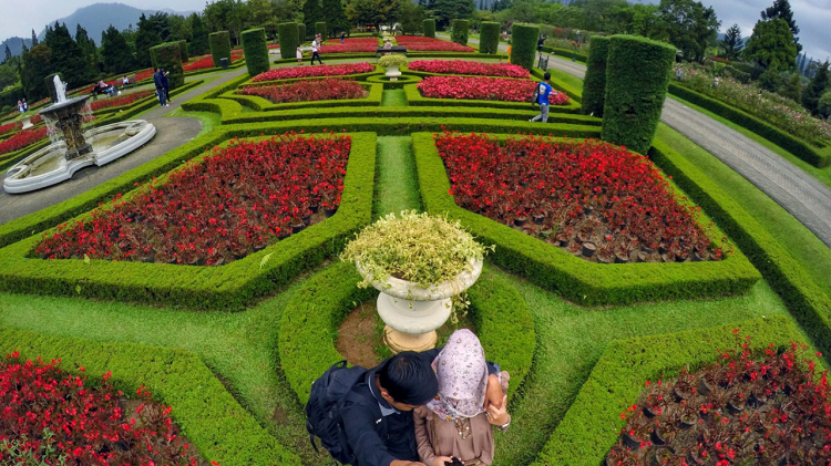 Keindahan Alam Cianjur, Ini Promo dan Daya Tarik Taman Bunga Nusantara 2026