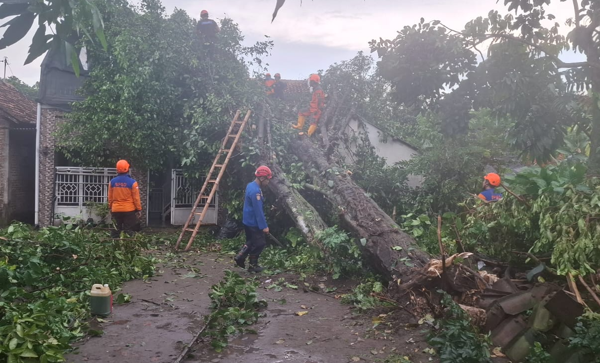 Cuaca Ekstrem Jogja, BPBD Perpanjang Status Siaga hingga Maret 2026