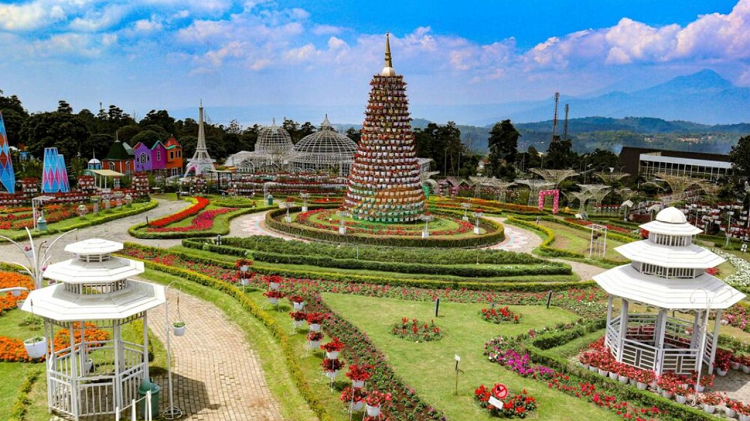 Pesona Berwisata Warna-Warni di Ungaran ke Taman Bunga Celosia Bandungan