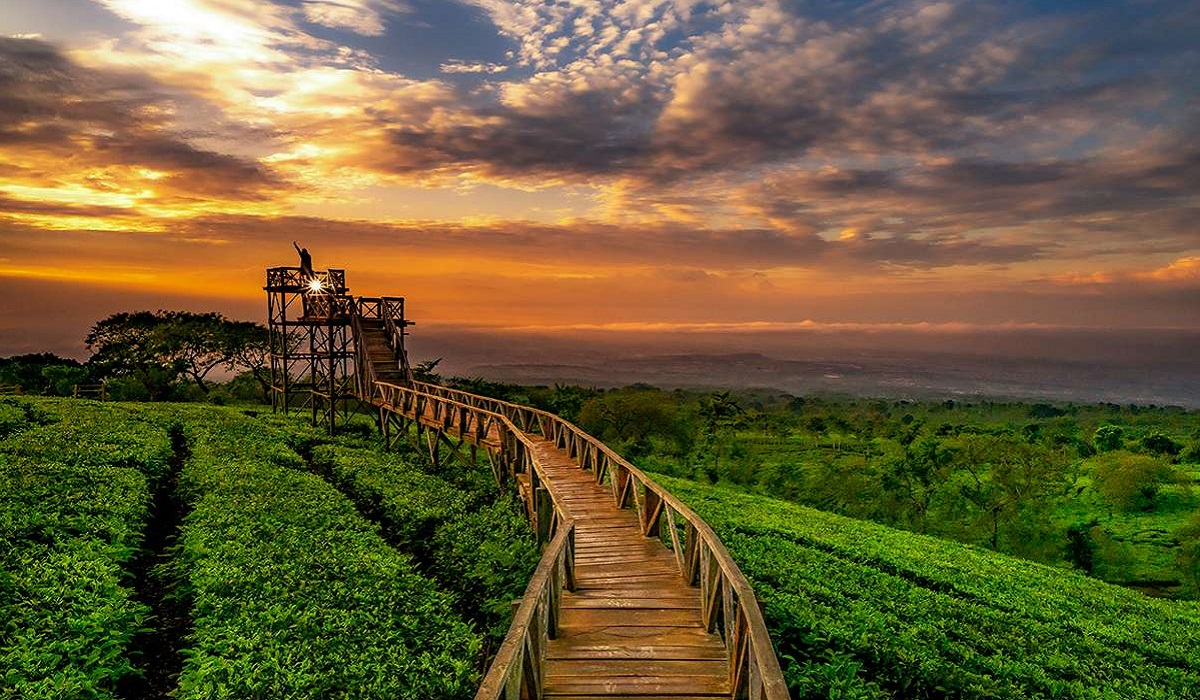 Jadi Incaran Pelancong Luar Daerah, Simak 5 Pilihan Wisata Seru dan Menarik di Ungaran Tahun 2025