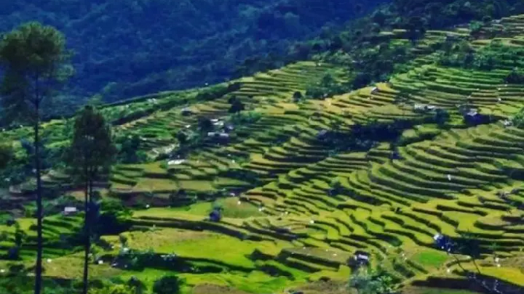 Update Akses Jalur Citalahab dan Rute Alternatif Terbaru di Desa Wisata Malasari, Cek Info Selengkapnya Disini