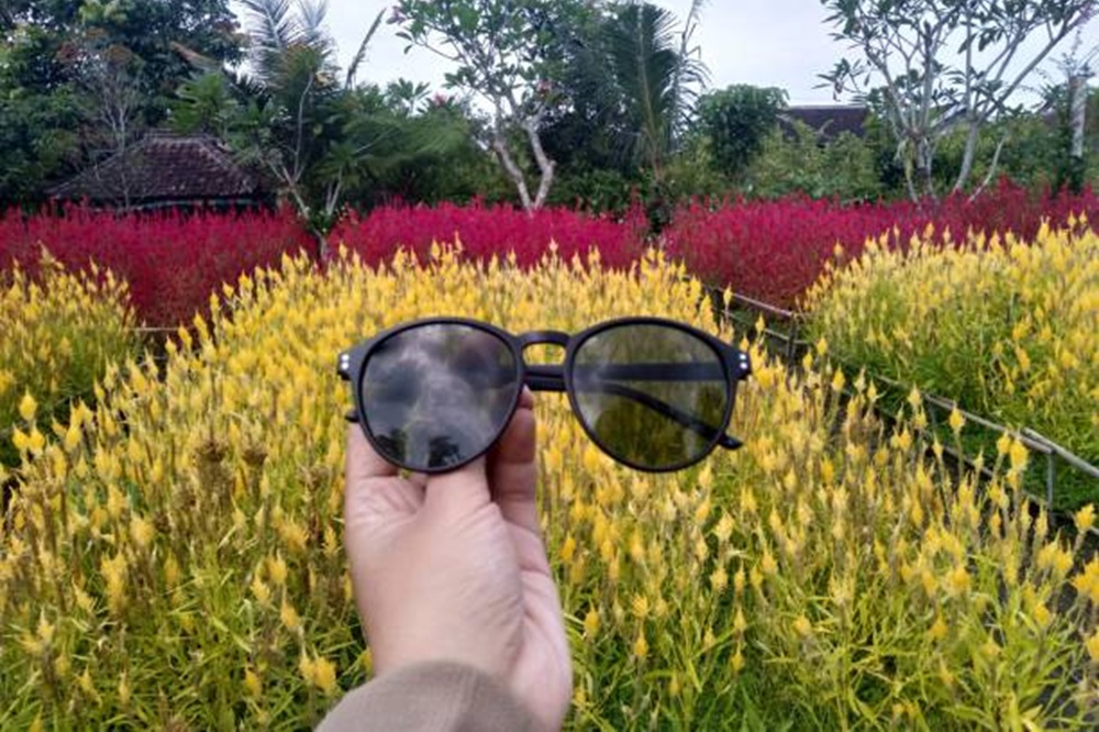 Rekomendasi Kacamata Photocromic Terbaik, Pelengkap Gaya Sekaligus Jaga Kesehatan Mata
