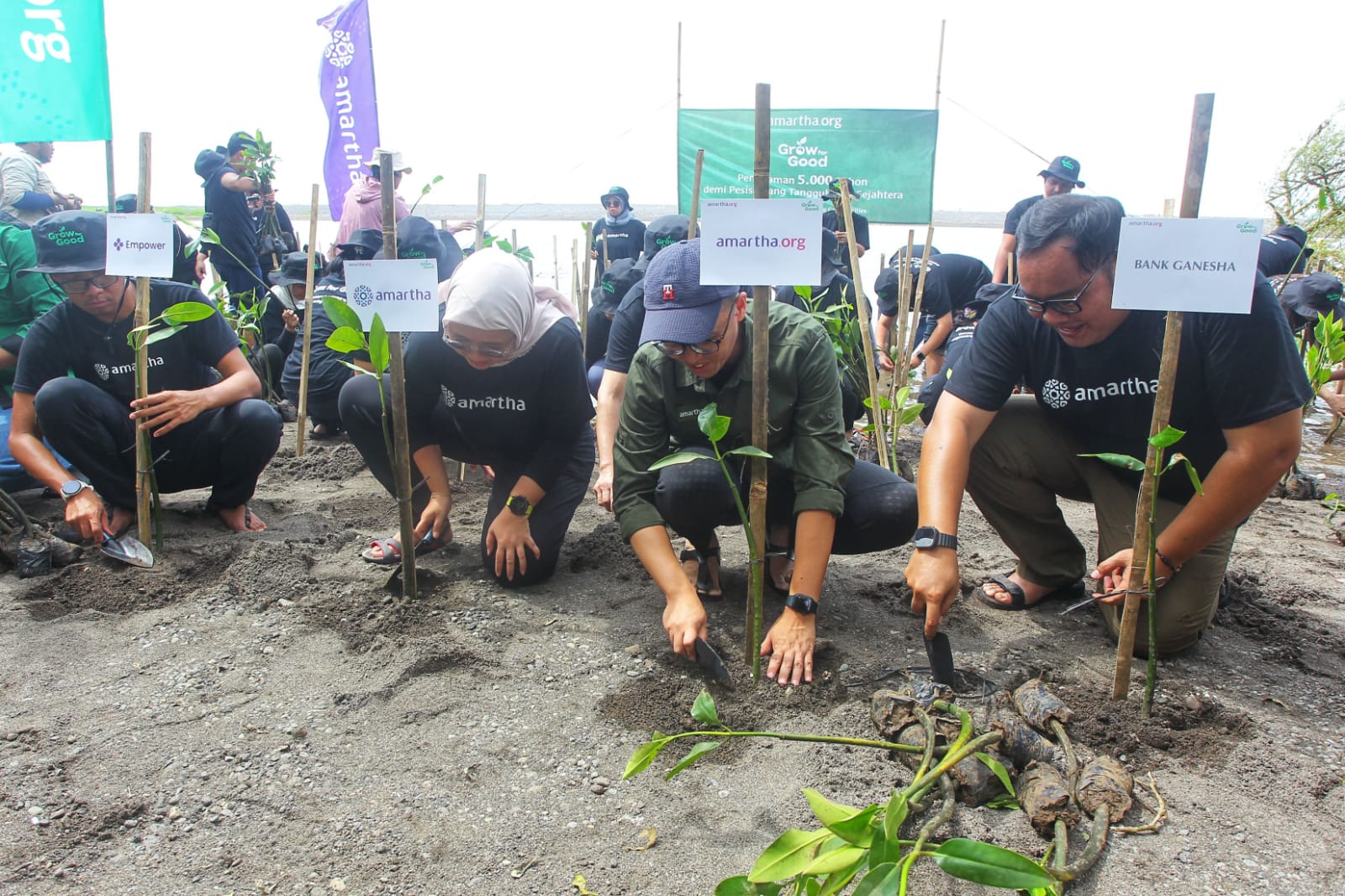 Frekuensi Abrasi Meningkat, Amartha dan Relawan Gen Z Hijaukan Pantai Baros