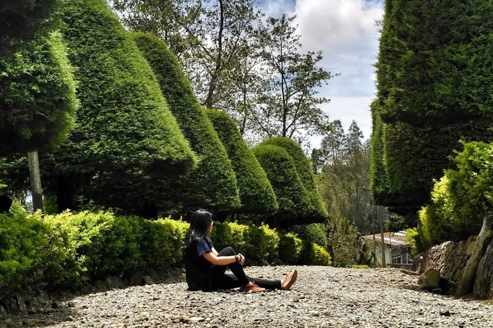 Pesonanya Bikin Jatuh Hati! Berikut 7 Wisata Bukit di Bandung dengan Pemandangan Menakjubkan