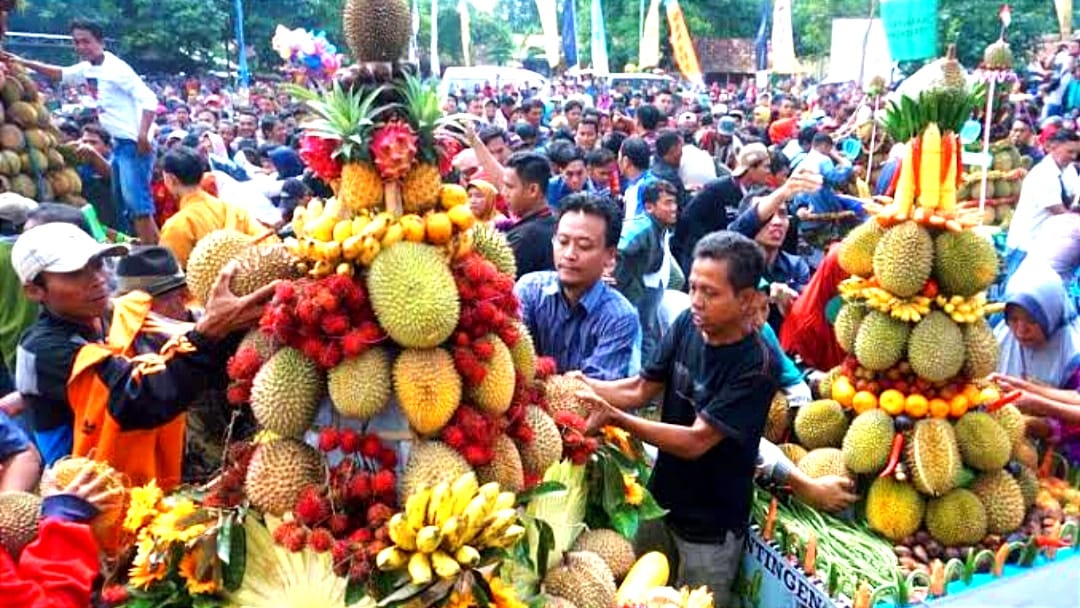 Durian di Desa Lolong Pekalongan Selalu Jadi Komoditi Unggul Nasional? Ini Sederet Fakta di Baliknya!