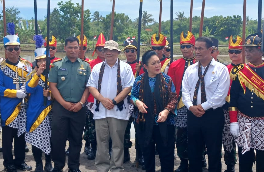 Pertanian di Bantul Menjadi Lumbung Pangan Kebutuhan Masyarakat DIY