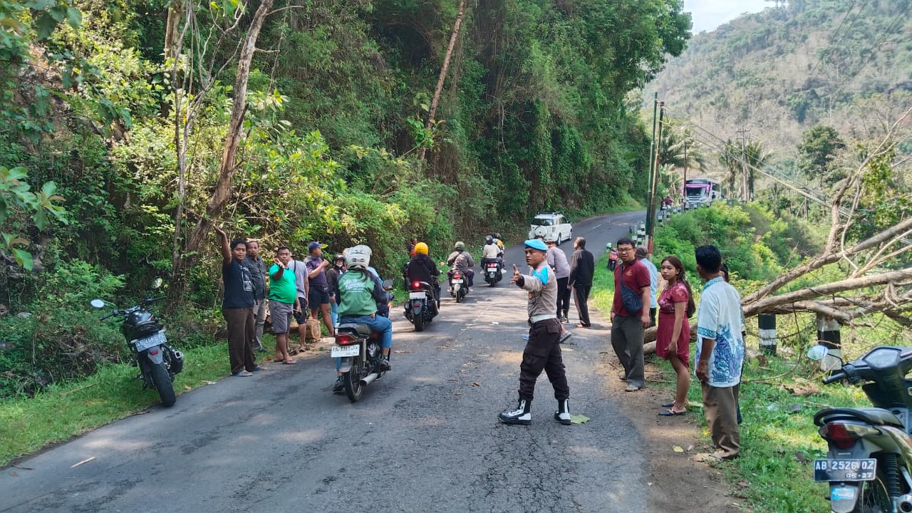 Pohon Tumbang di Samigaluh Timpa Pengendara, Warga Sedayu Meninggal Dunia