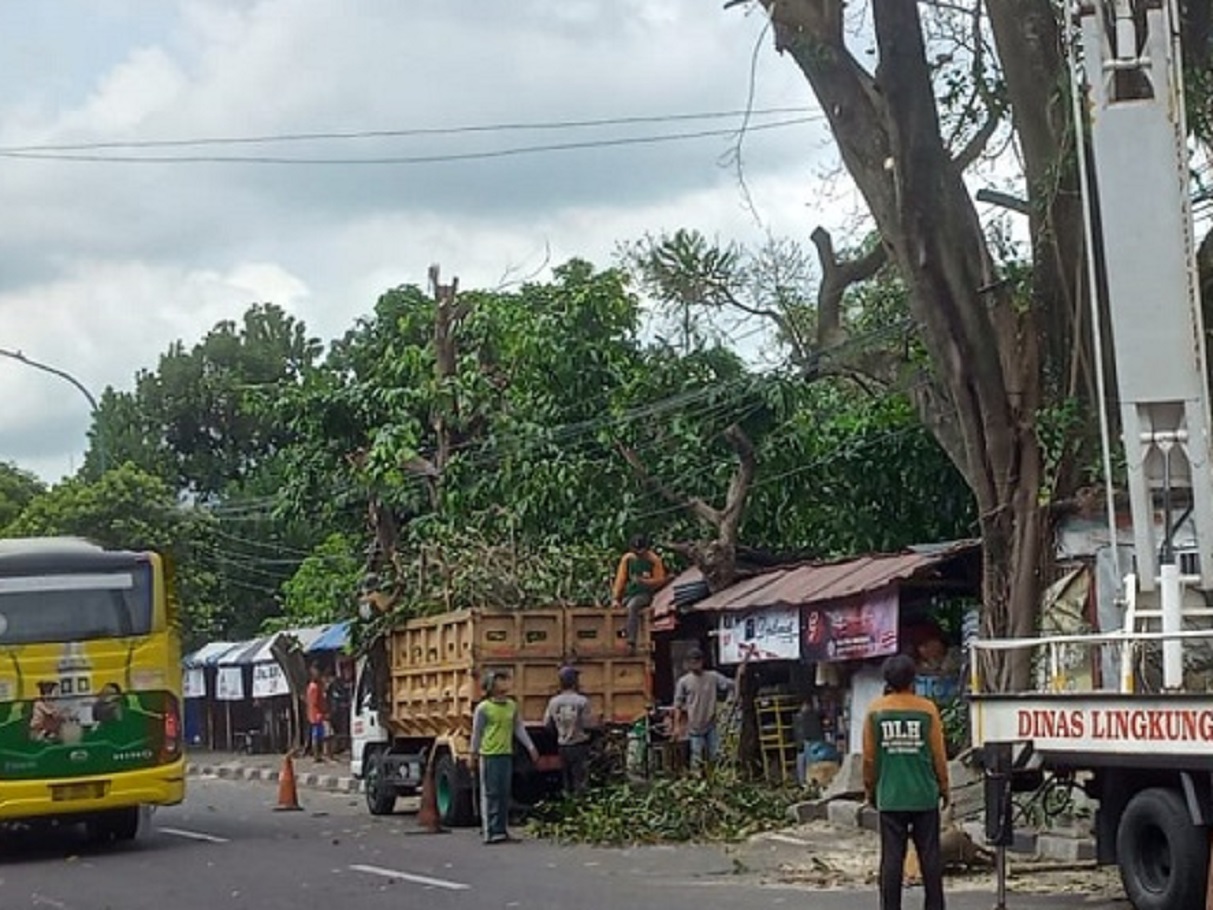 DIY Diprediksi Bakal Diterjang Badai Siklon Tropis Anggrek, Masyarakat Diminta Siaga dan Tidak Panik