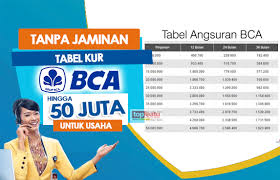 Sedang Cari Dana Dadakan 50 Juta? Inilah Panduan Pengajuan Pinjaman Bank BCA Tanpa Jaminan