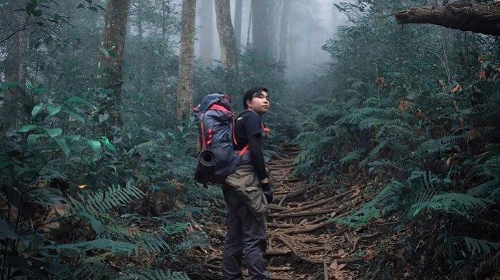 5 Fakta Menarik Wisata Terbaru 2024 Gunung Batukaru: Sajikan Pesona Alam di Pulau Dewata, Cek Info Lengkapnya 
