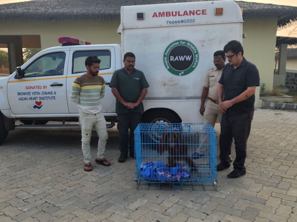 Mahkamah Agung India Selidiki Vantara Milik Anant Ambani, Aktivis Desak Indonesia Pulangkan Orangutan