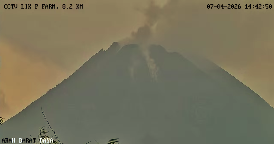 Awan Panas Guguran Gunung Merapi Luncur 1,8 Km, BPPTKG: Warga Jauhi Alur Sungai Berhulu Merapi