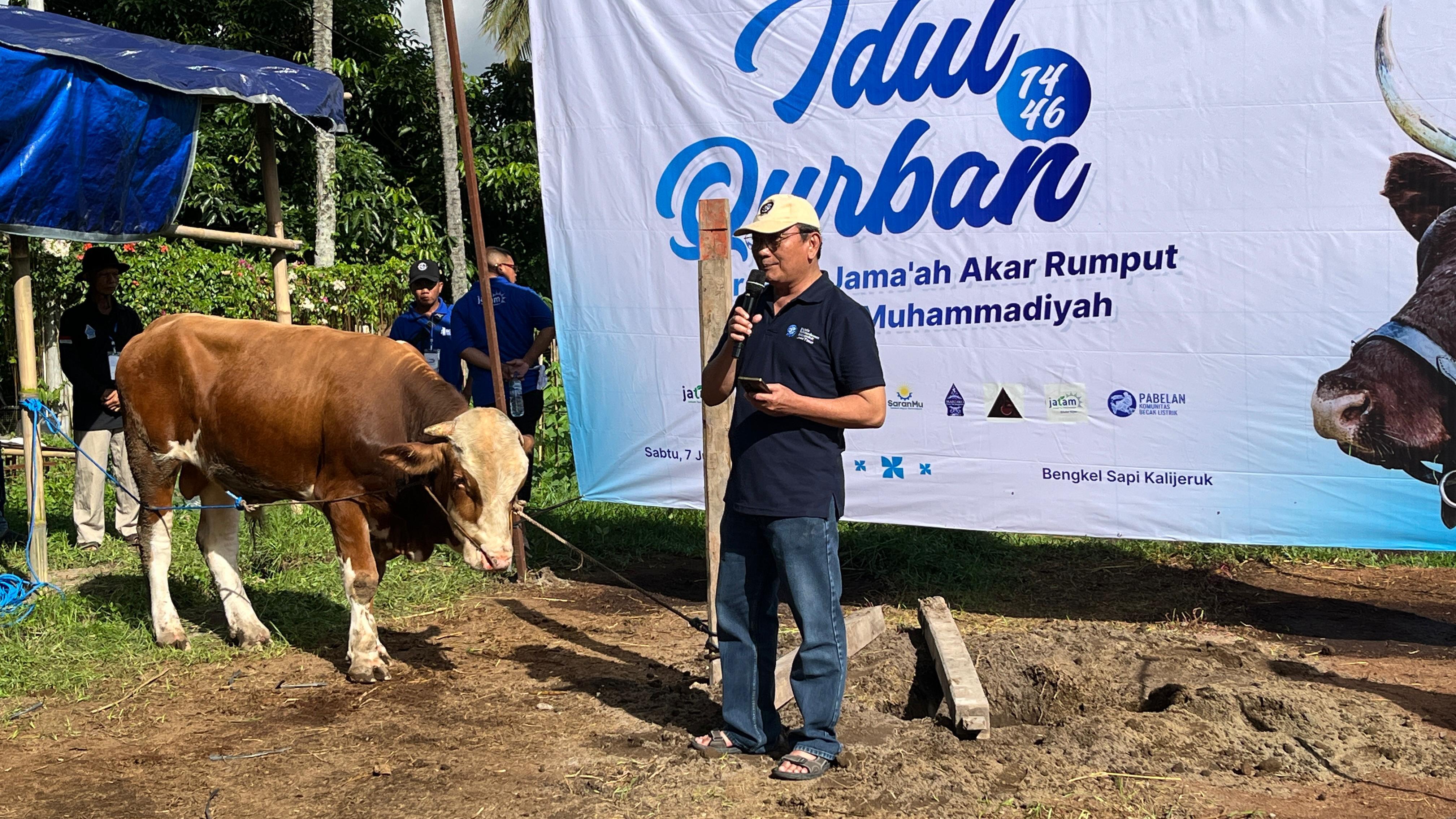 Muhammadiyah Salurkan Hewan Kurban 8 Ekor Sapi dan 31 Kambing di Sleman dan Daerah 3T