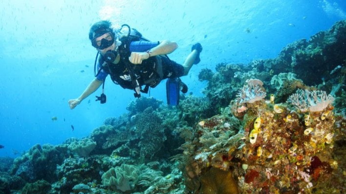 Wisata Terbaru 2024 : 7 Spot Menyelam Terbaik Raja Ampat, Surganya Penyelam