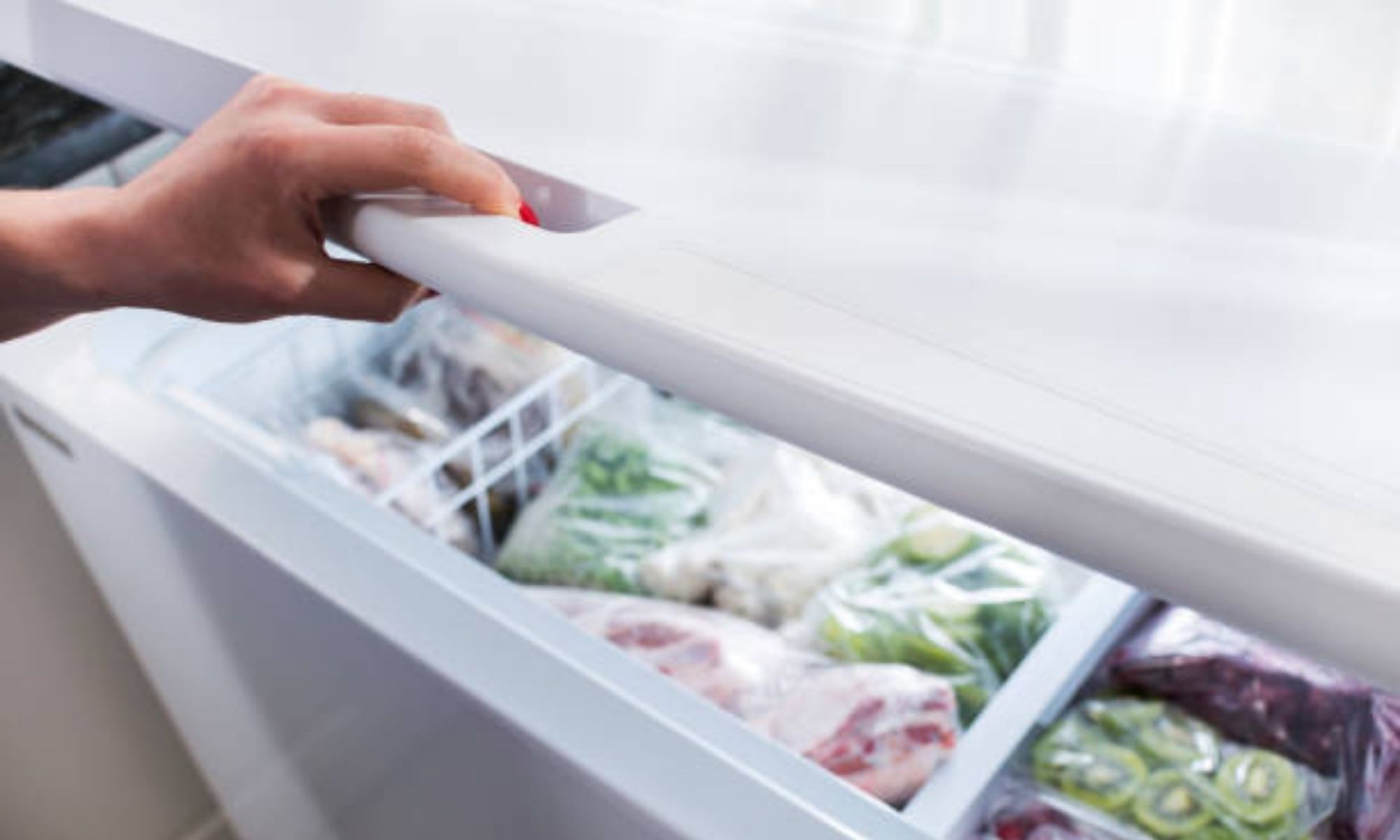 Jangan Keliru, Berikut Perbedaaan Penggunaan Merek Kulkas Terbaik Freezer VS Cold Storage