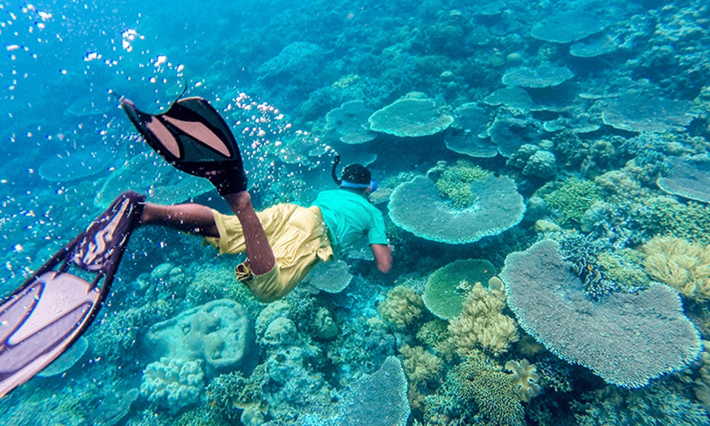 Menjelajahi Kekayaan Bawah Laut? 5 Wisata Terbaru 2024 Spot Terpopuler Snorkeling Terindah di Indonesia!