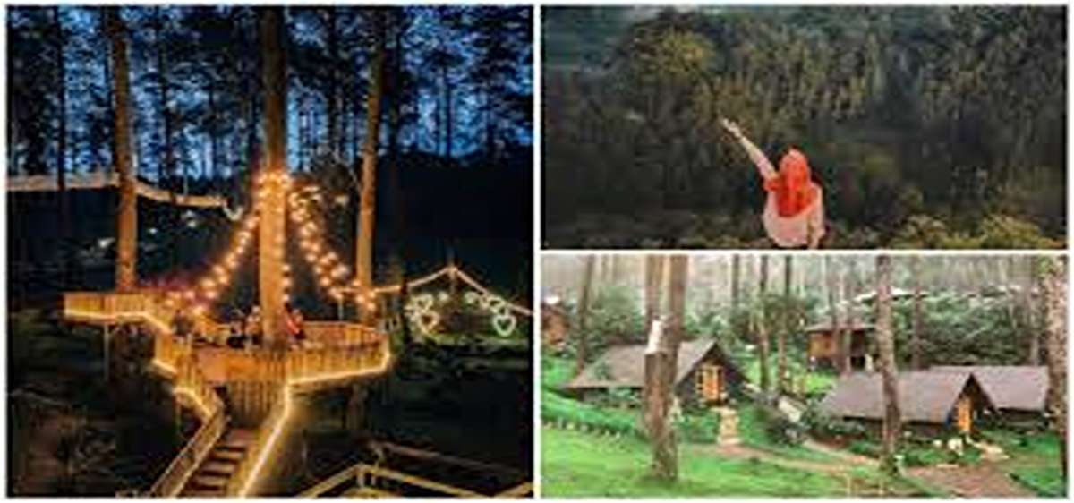 Sejuk dan Rindang! 8 Wisata Hutan Pinus Bandung 2025, Dijamin Bikin Jiwa Tenang dan Menyenangkan