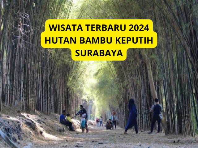 Hutan Ditengah Kota? Yuk Simak Wisata Terbaru 2024 Hutan Bambu Keputih Surabaya, Cek Disini