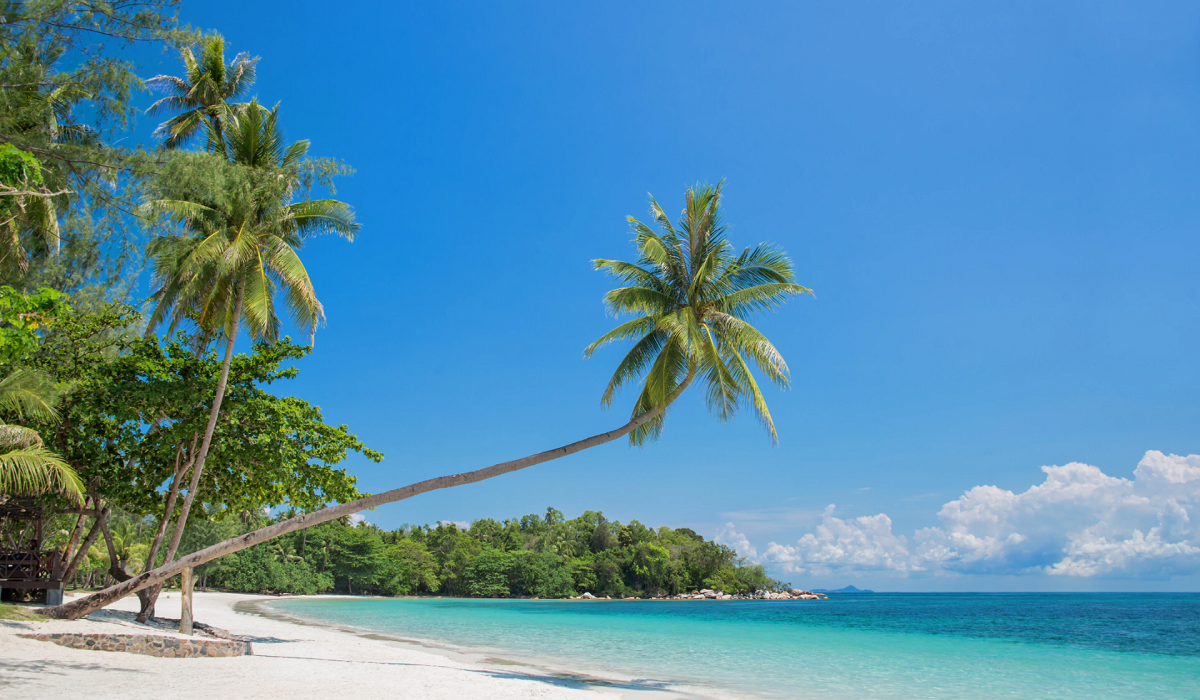 6 Daftar Wisata Unik Pulau Bintan dengan Keindahan dan Keragaman Memanjakan Mata, Cek Disini