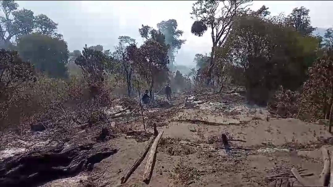 Kawasan Hutan di Gunung Slamet Kabupaten Tegal Terbakar, 42 Relawan Berusaha Padamkan