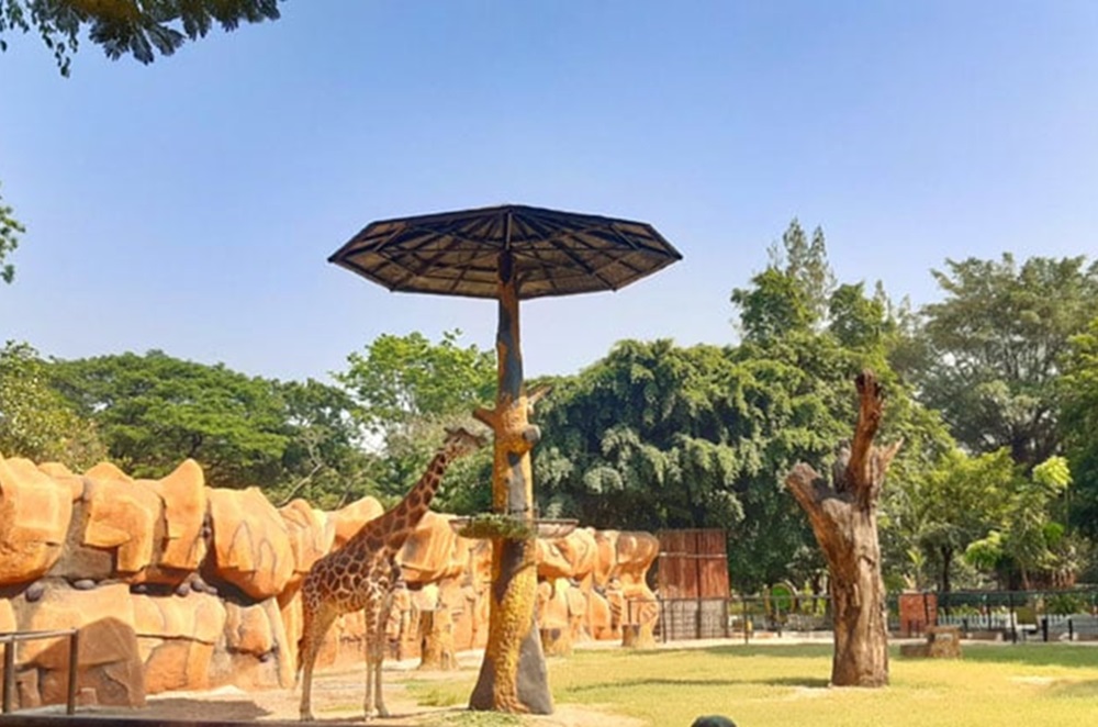 Daftar Tempat Wisata Dekat Stasiun Wonokromo, Bisa Jadi Pilihan untuk Isi Waktu Liburan di Surabaya