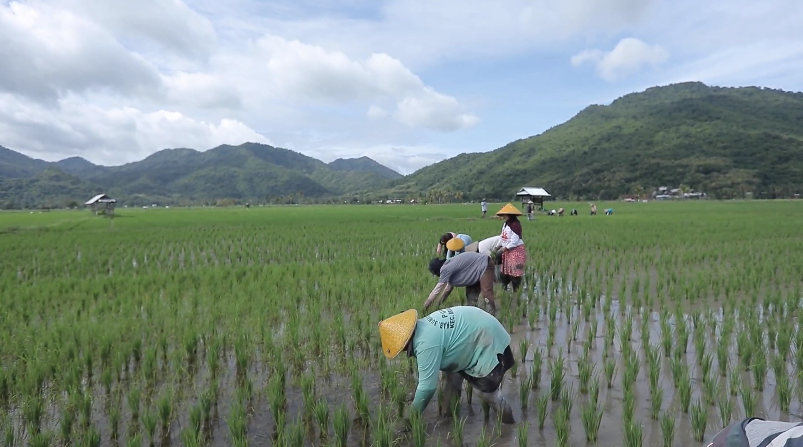 Berbasis Gotong Royong, Desa Manemeng Perkuat Ekosistem Ekonomi Kerakyatan Melalui Program Desa BRILiaN