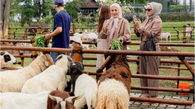 Rekomendasi Destinasi Wisata Alam Jawa Barat dengan Pemandangan Memukau, Cek Info Selengkapnya Disini
