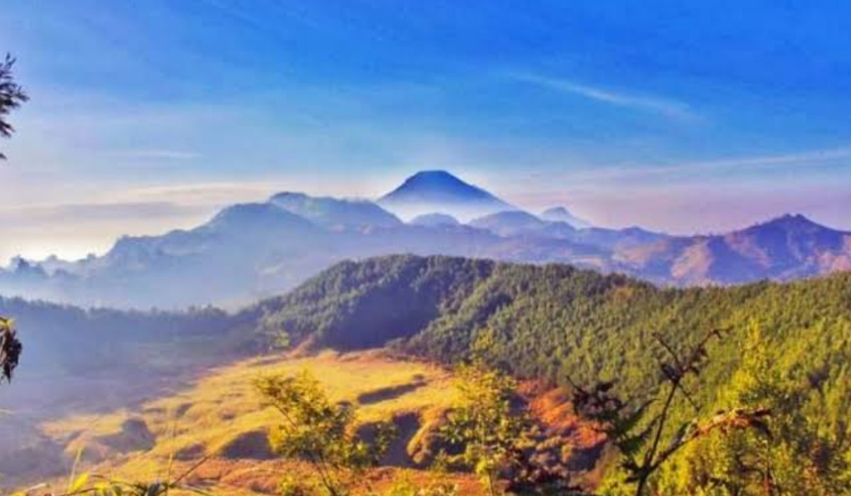 Pesona Menawan Wisata Terbaru 2024 Bukit Pangonan, Panorama Sabana Indah