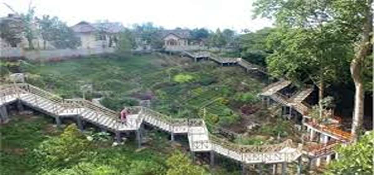 Paling Hits dan Terbaru! 8 Tempat Wisata Viral Ngawi 2025, Dijamin Liburan Makin Seru