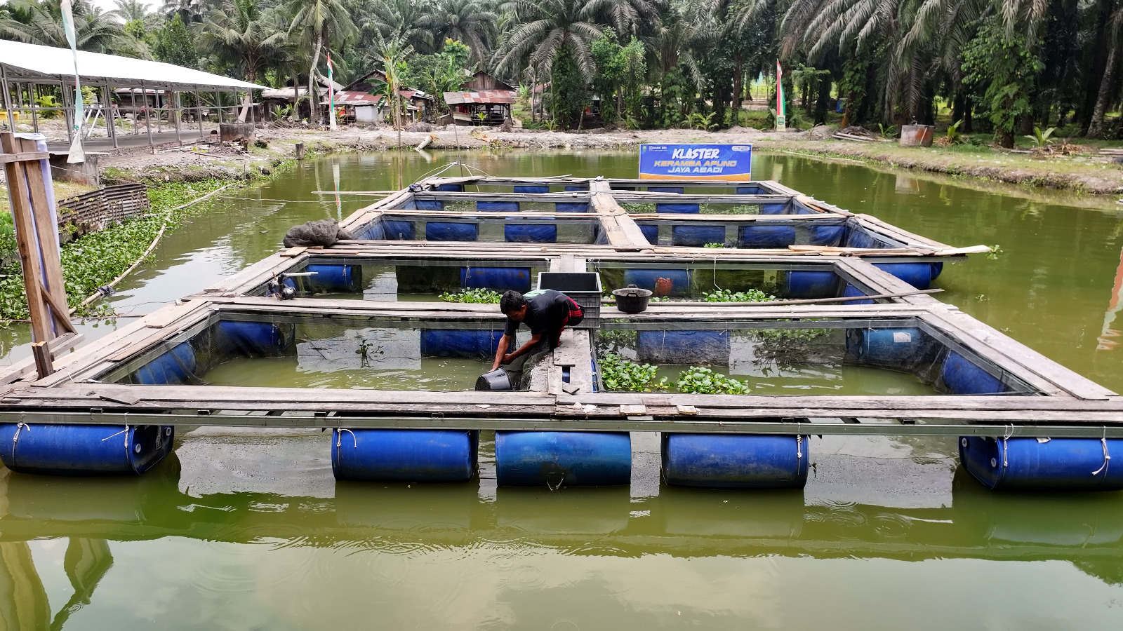 Pemberdayaan BRI Berhasil Genjot Perekonomian Desa Empang Baru Lewat Keberagaman Usaha
