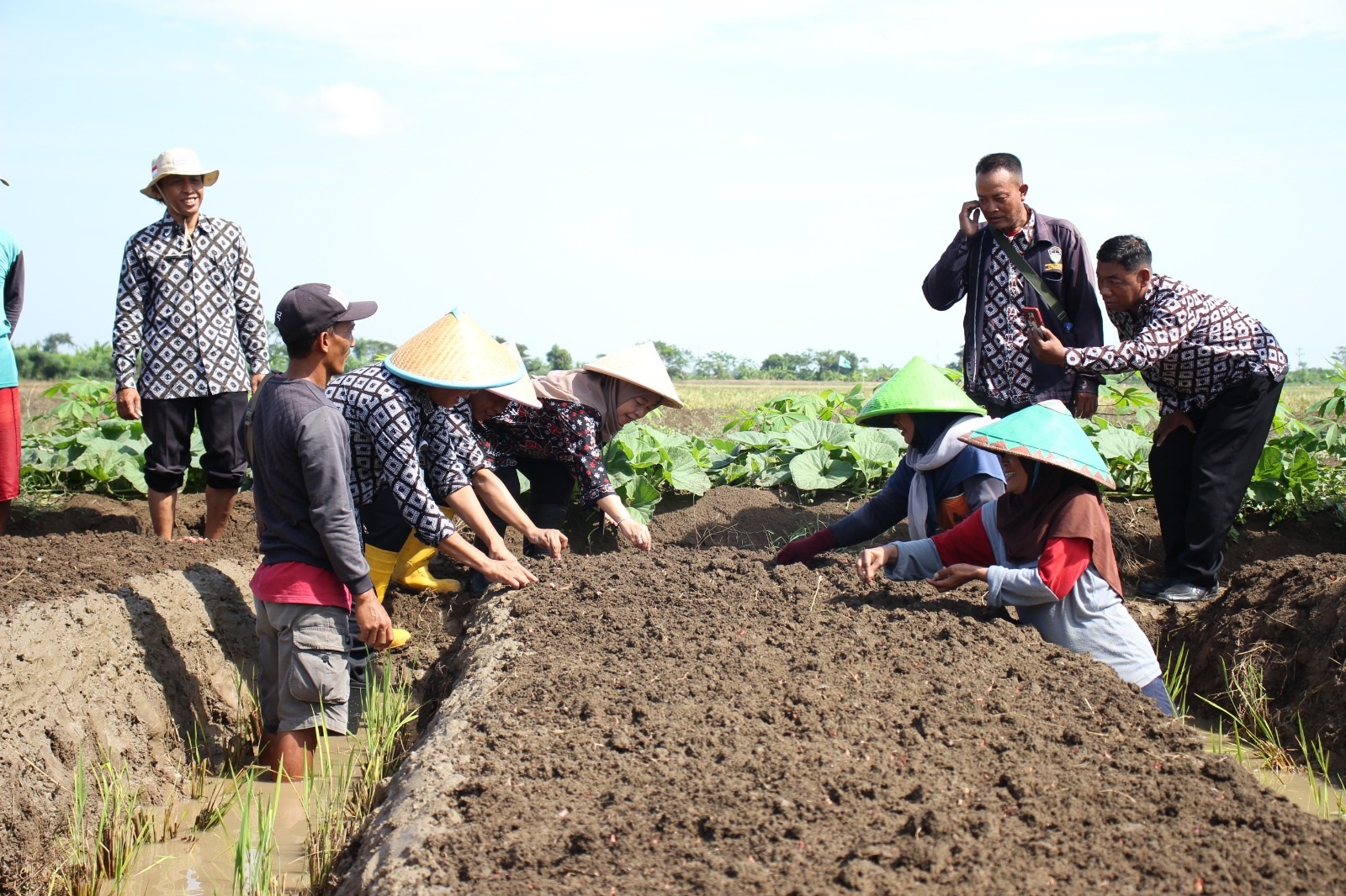 Bibit Bawang Merah Mahal, Pj Bupati Brebes Turun Tangan