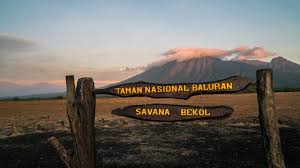 Wisata Terbaru 2024 Taman Nasional Baluran: Little Africa in Java Cocok Buat Liburan Keluarga
