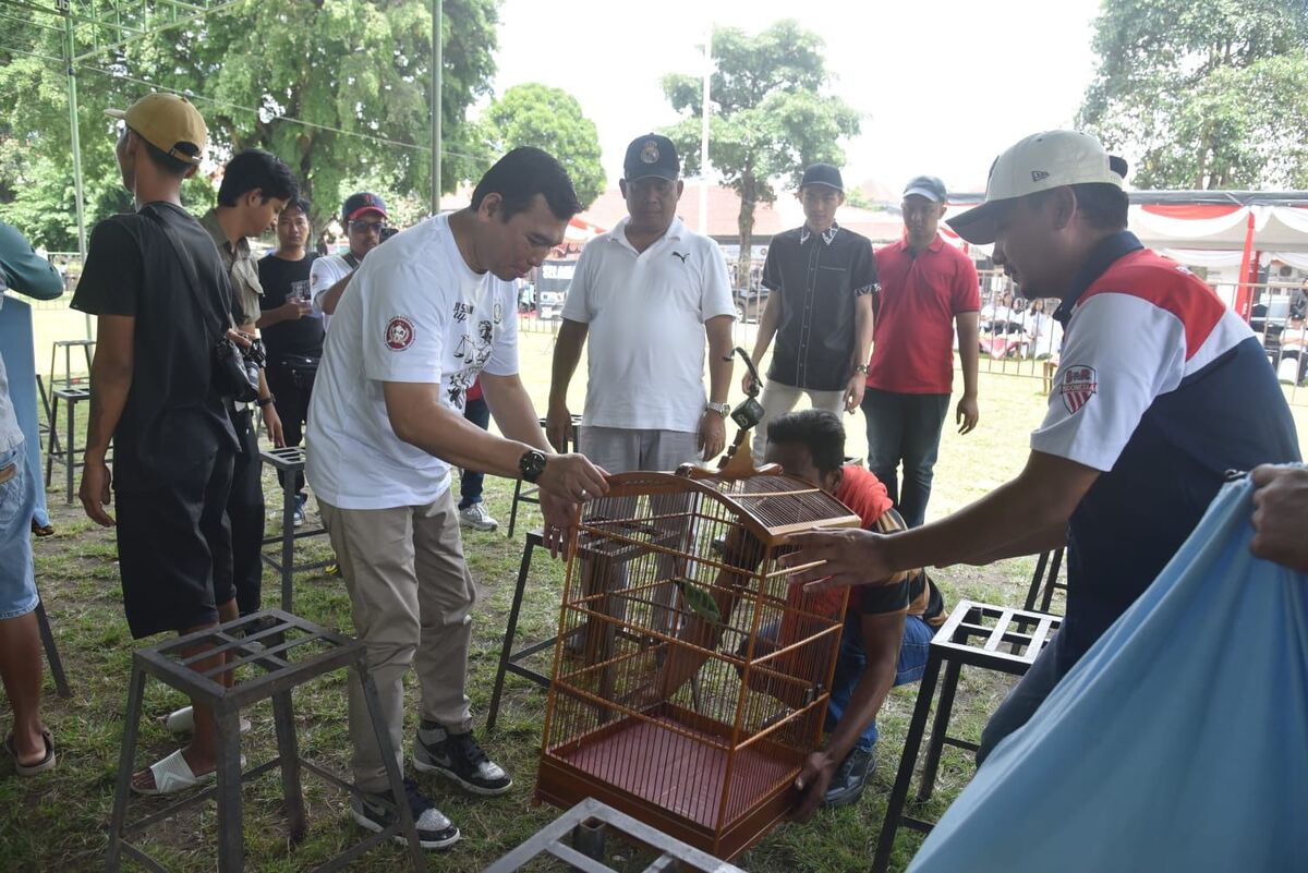 800 Burung Adu Merdu di Sleman, Kajari Sleman Cup 2025 Jadi Magnet Penghobi hingga UMKM