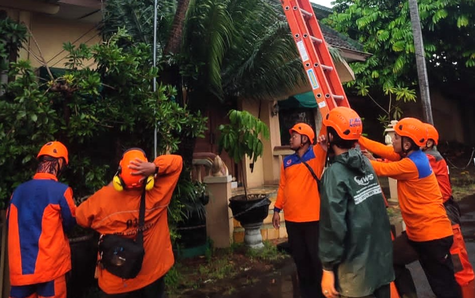 Awal 2026, Cuaca Ekstrem Sudah Picu Pohon Tumbang di Yogyakarta