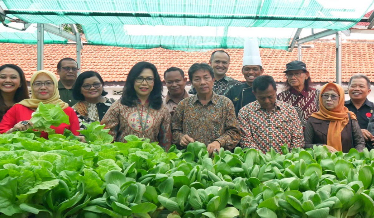 Oase Hijau di Atap Phoenix Hotel Yogyakarta, Upaya Kota Pelajar dalam Mendukung Keberlanjutan Lingkungan