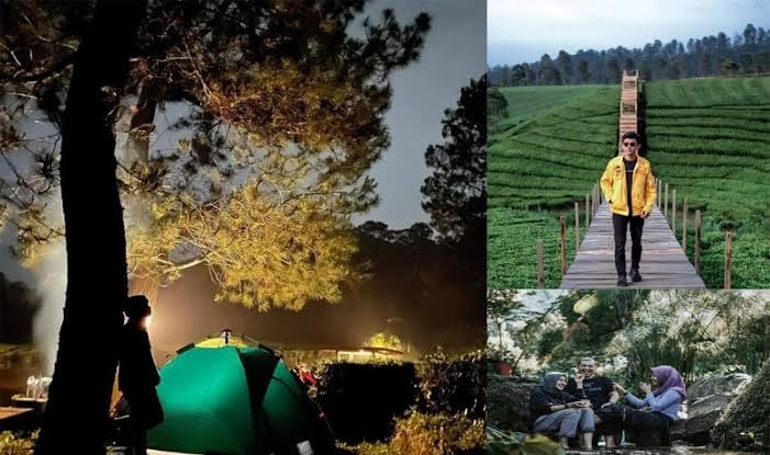 Mengungkap Pesona Riung Gunung Pangalengan? Wisata Terbaru 2024 Bandung, Simak Lokasi dan Jam Operasionalnya!