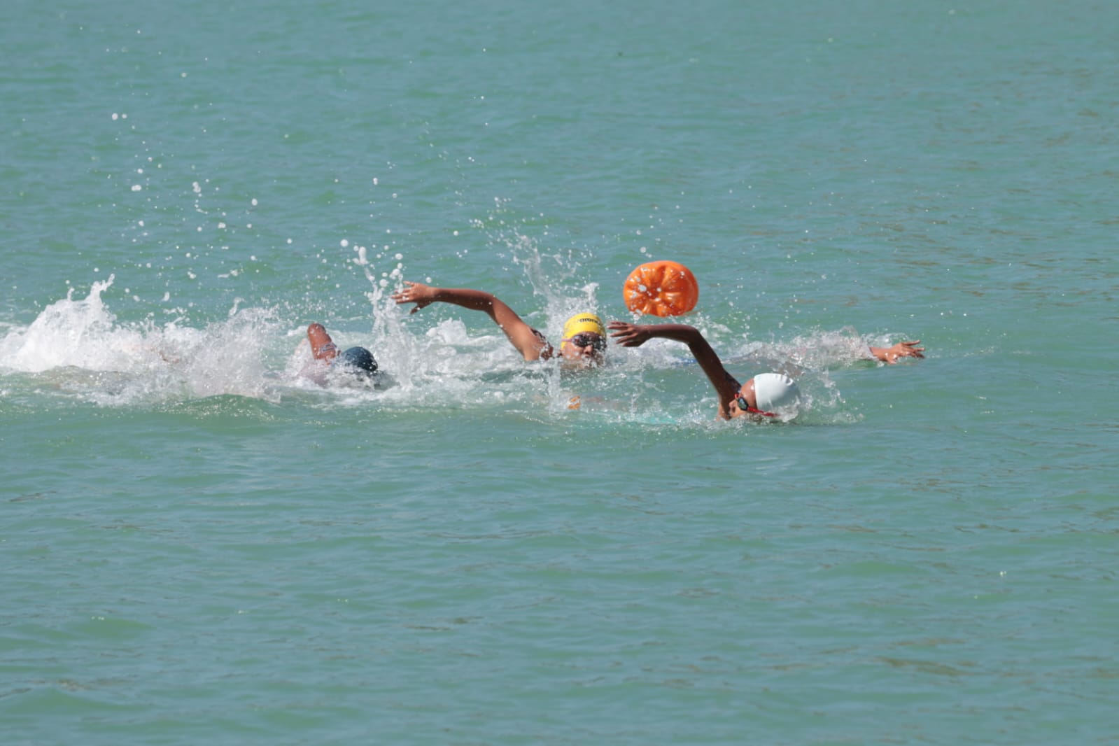 Sleman Sapu Bersih Emas di Cabor Open Water Swimming PORDA DIY 2025