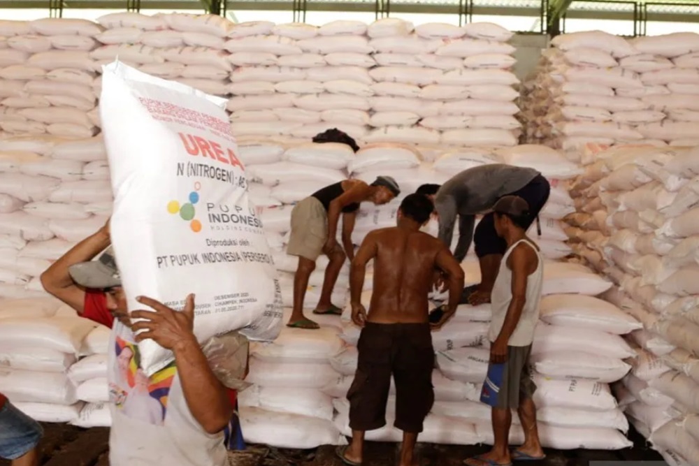 Petani di Sleman Dikenai Biaya Tambahan Saat Pembelian Pupuk Bersubsidi, Begini Penjelasan Dristibutor