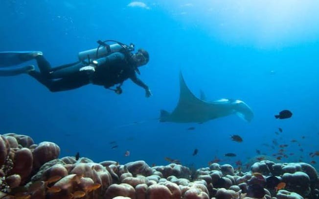 Menjelajahi Surga Bawah Laut yang Tersembunyi! Sensasi Menyelam di Wisata Terbaru 2024 Nusa Penida Bali