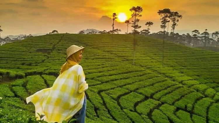 List Destinasi Wisata Unggulan di Cianjur Paling Wajib Dikunjungi