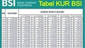 Butuh Modal Usaha 30 Juta? Simak 7 Cara Ajukan Pinjaman Berbasis Syariah Tanpa Jaminan, KUR BSI Kuota 2025 Ini