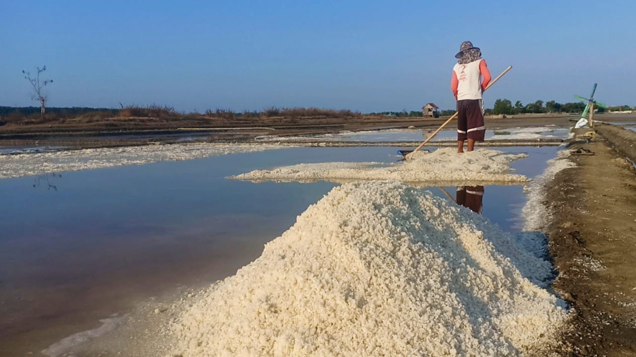 Sempat Naik, Harga Garam Brebes Anjlok Lagi di Angka Rp 950 per Kg