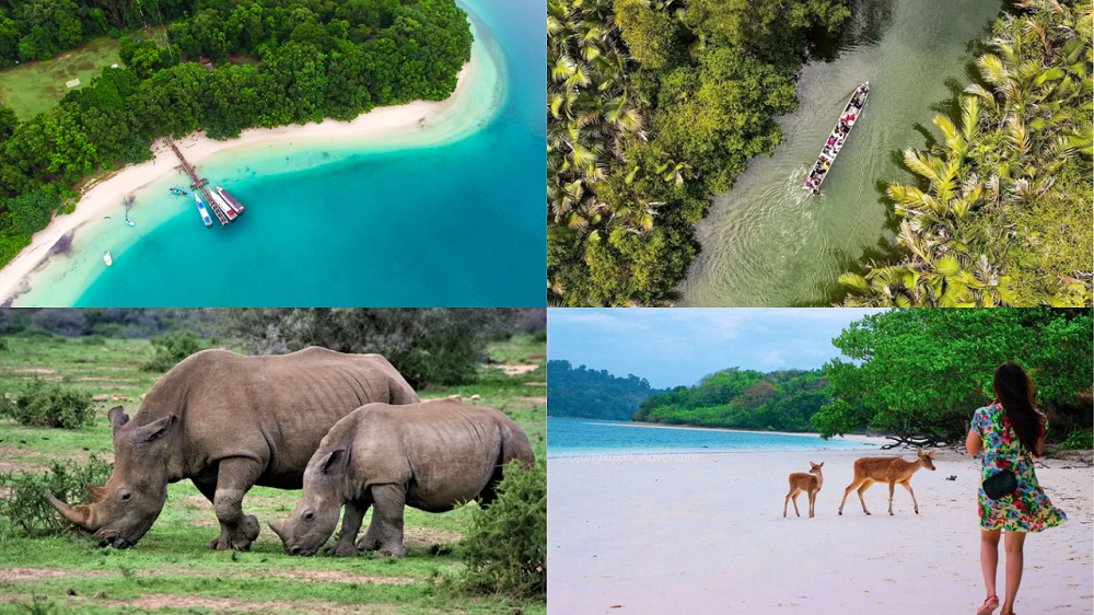 Keindahan Taman Nasional Ujung Kulon, Dengan Pemandangan Badak Sebagai Wisata Terbaru 2024
