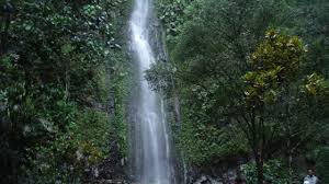 Rekomendasi Tempat Liburan Akhir Tahun Keasrian Air Terjun Tlogo Muncar, Nyaman dan Cocok Untuk Melepas Penat