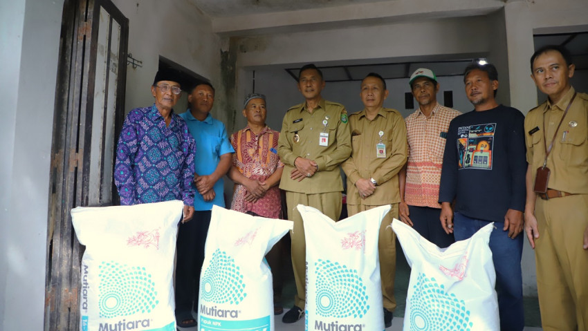 5 Ton Pupuk untuk Lahan Pasir, Strategi Bantul Ubah Pasir Jadi Lumbung Pangan