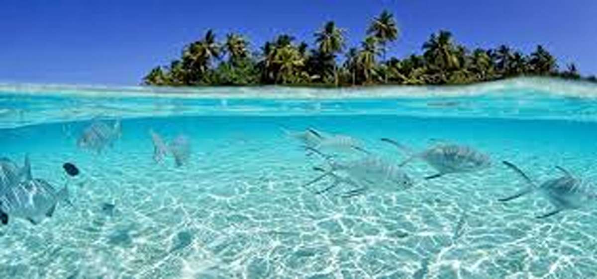 Hunting Foto! Simak Daftar Pilihan Cafe Estetik di Rembang, Cozy dan Kekinian Dijamin Bikin Betah Nongkrong