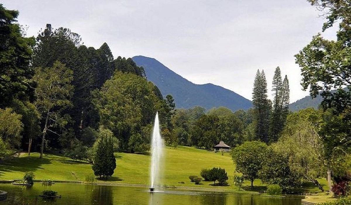 5 Rekomendasi Wisata Seru dan Menarik di Cianjur Selatan, Pilihan Oke untuk Liburan Keluargamu