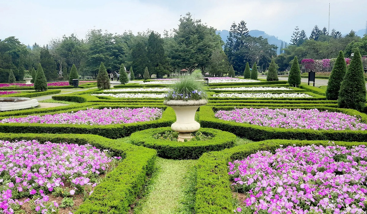 Nuansa Teduh dan Asri, Inilah 5 Pilihan Wisata Seru dan Hits Cipanas untuk Liburan Keluarga Akhir Pekan