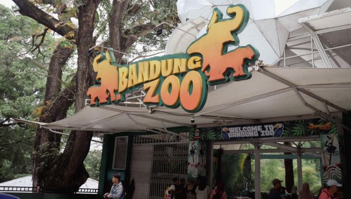 Konflik Bandung Zoo Memanas, Geopix Ingatkan Negara Jangan Korbankan Satwa